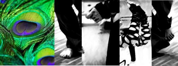 14639804_10209646476471102_1465528243637032358_n